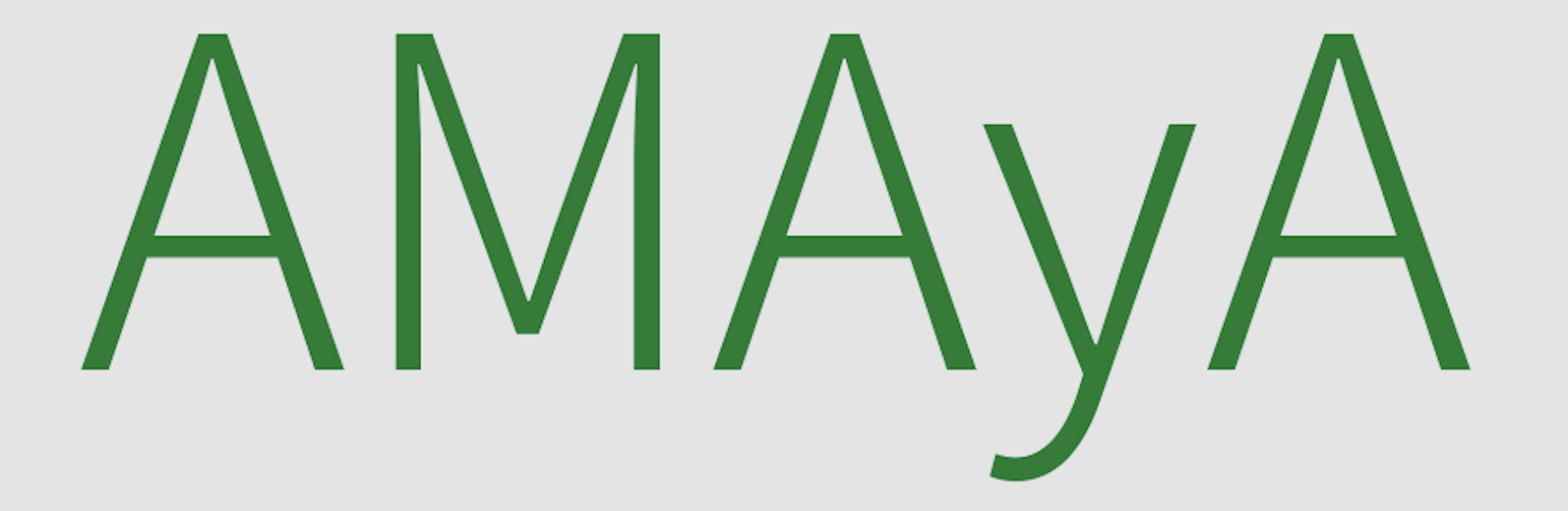 2ª edición del curso sobre la LCSP para el personal de AMAyA